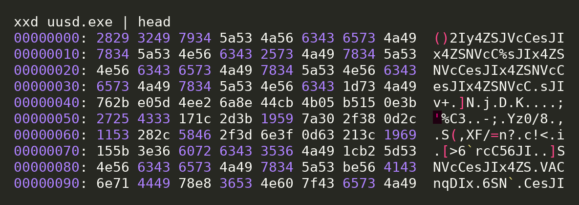 Highlighted bash code block 11